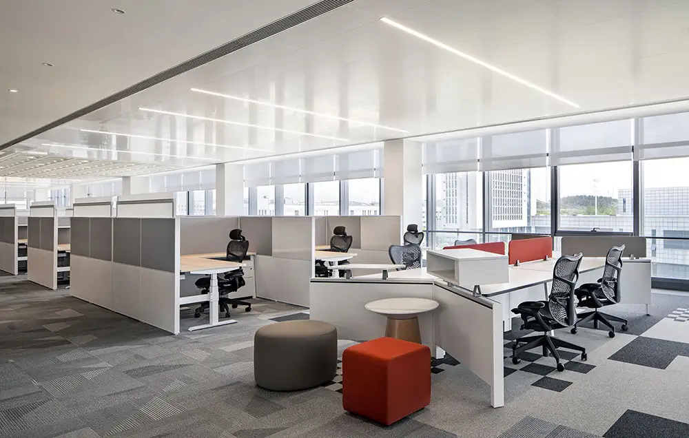 1689212887185031620.jpg 63ff21554f971.jpg